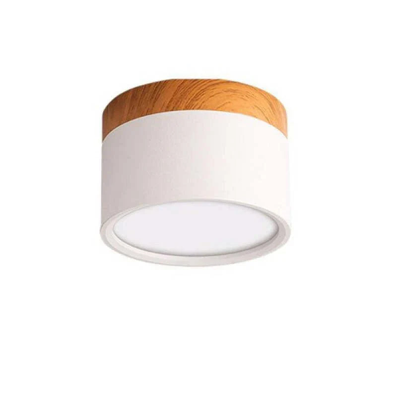 Orlo Surface Mount Ceiling Lamp