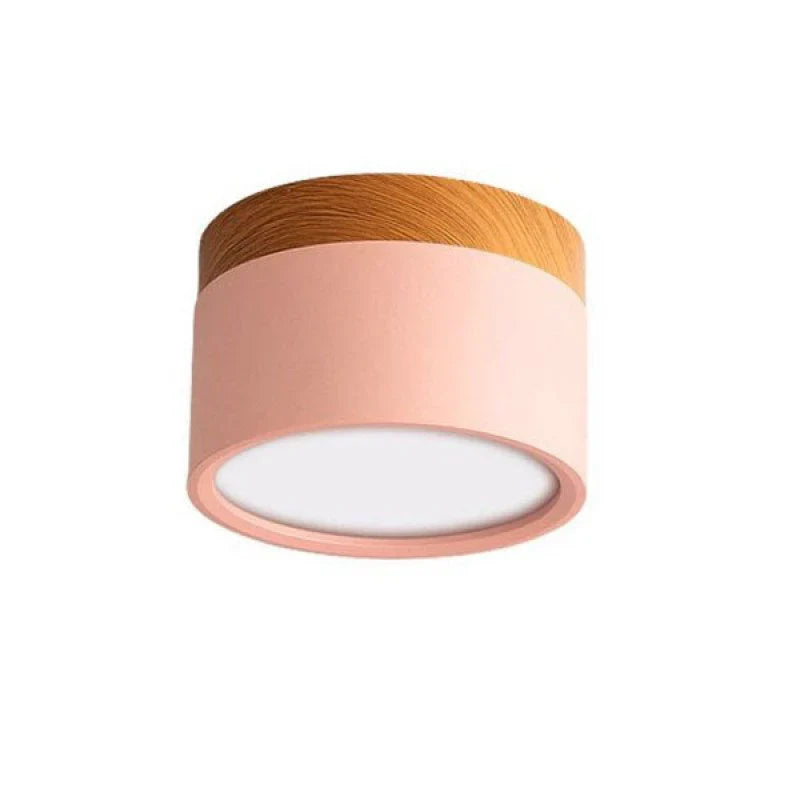 Orlo Surface Mount Ceiling Lamp