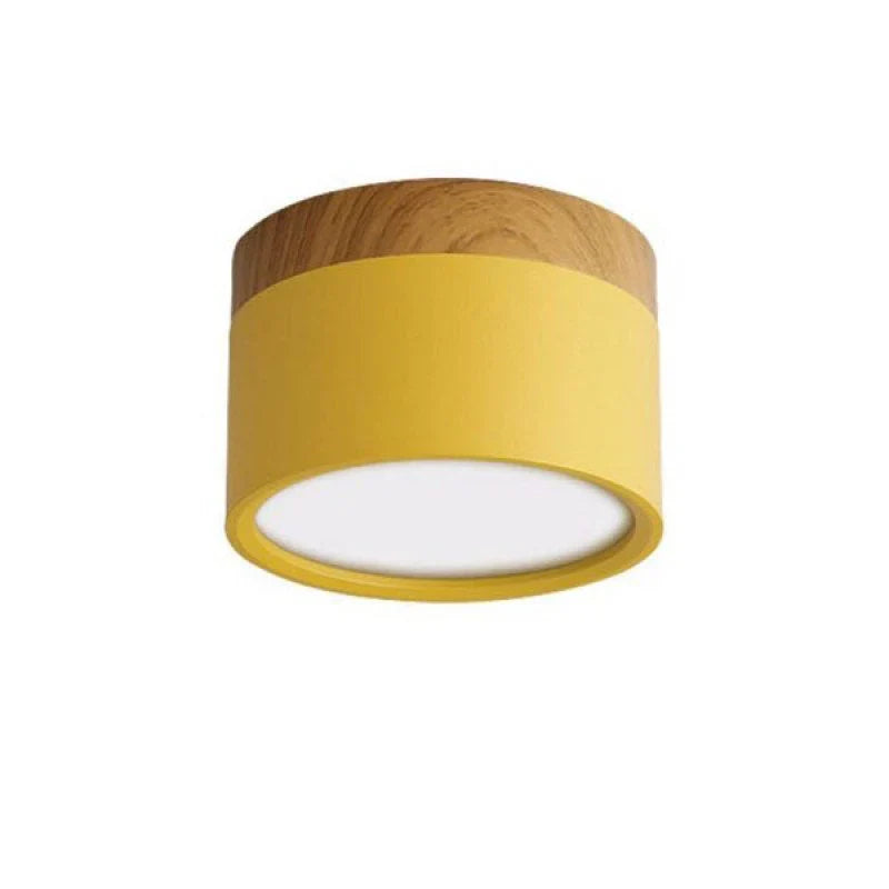 Orlo Surface Mount Ceiling Lamp