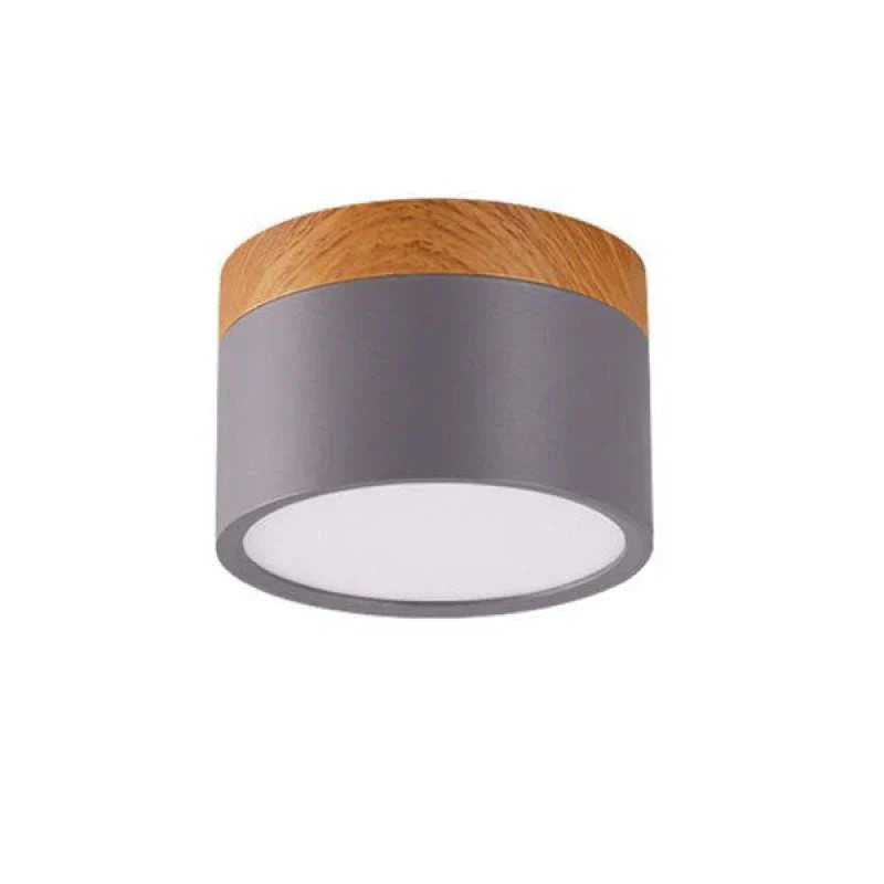 Orlo Surface Mount Ceiling Lamp