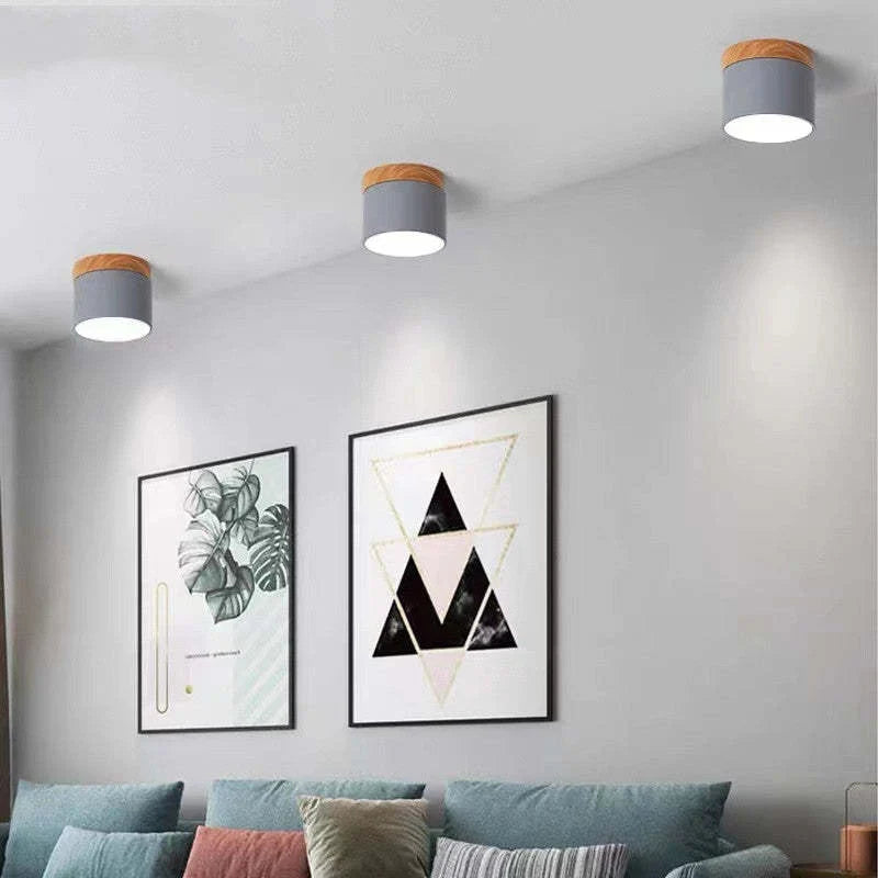 Orlo Surface Mount Ceiling Lamp