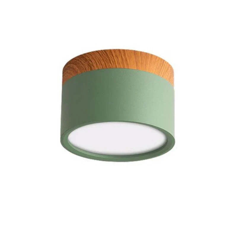 Orlo Surface Mount Ceiling Lamp