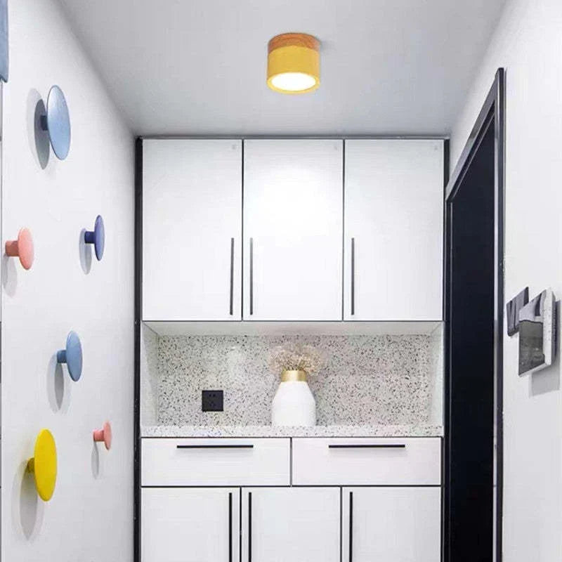 Orlo Surface Mount Ceiling Lamp