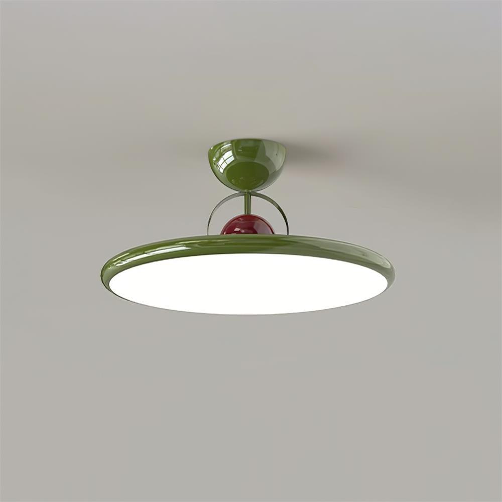 Curved Modern LED Ceiling Lamp