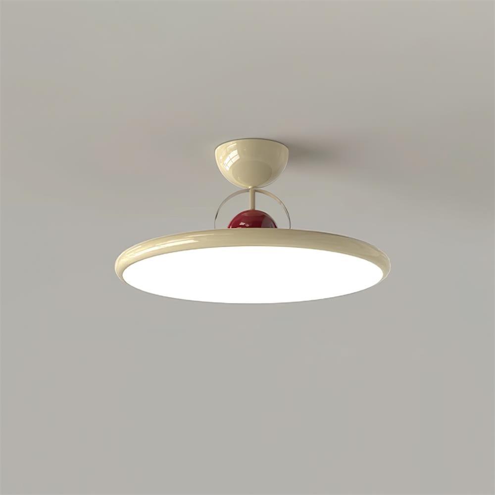 Curved Modern LED Ceiling Lamp