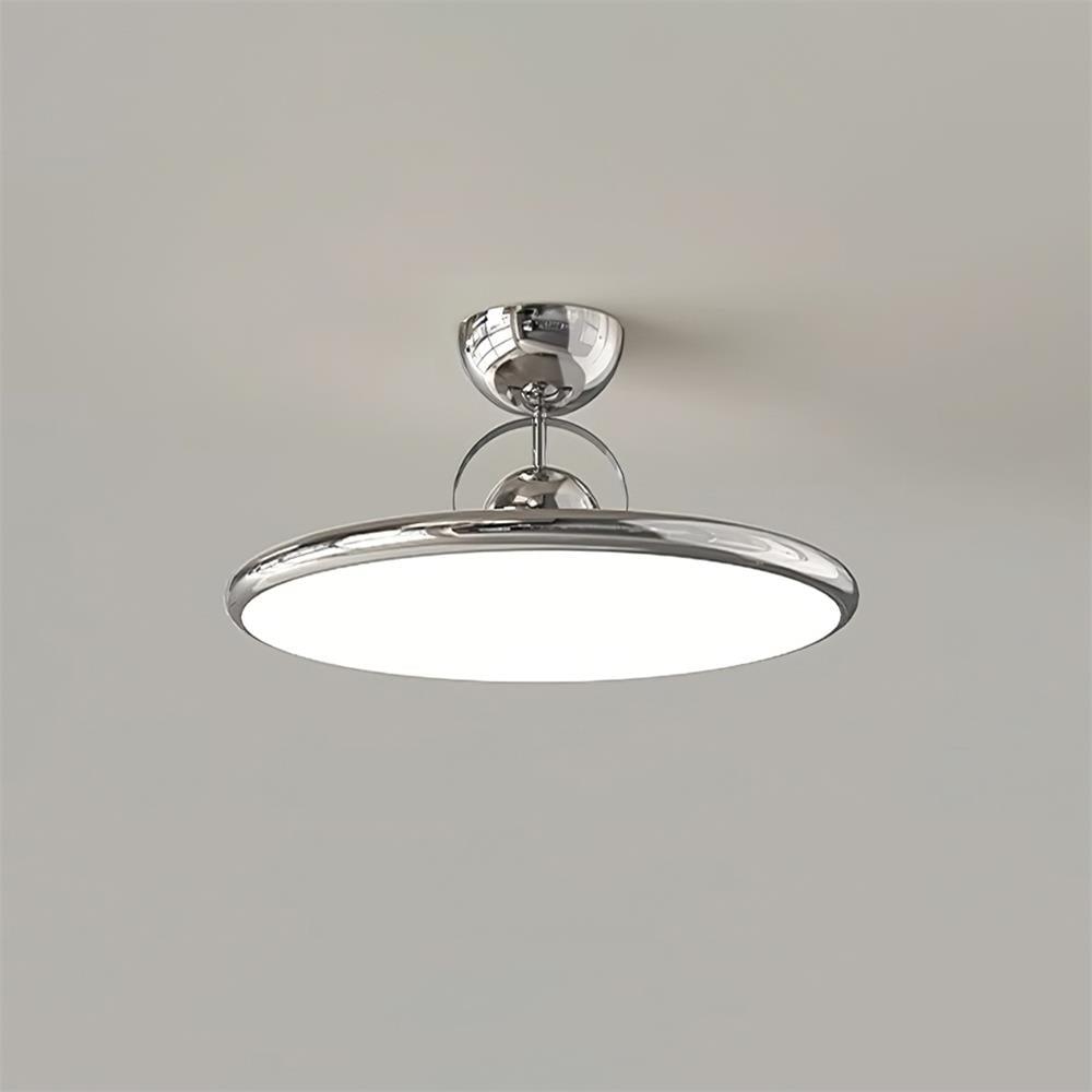 Curved Modern LED Ceiling Lamp