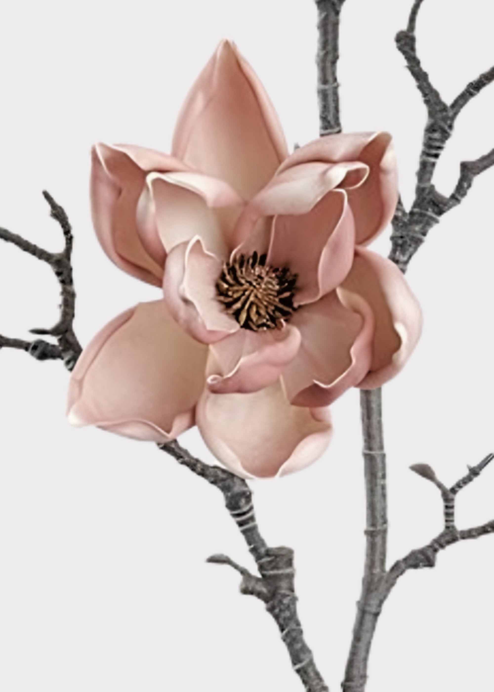 Magnolia Branch Realistic Artificial Flower Silk Faux Stem in Mauve Beige 39.5"