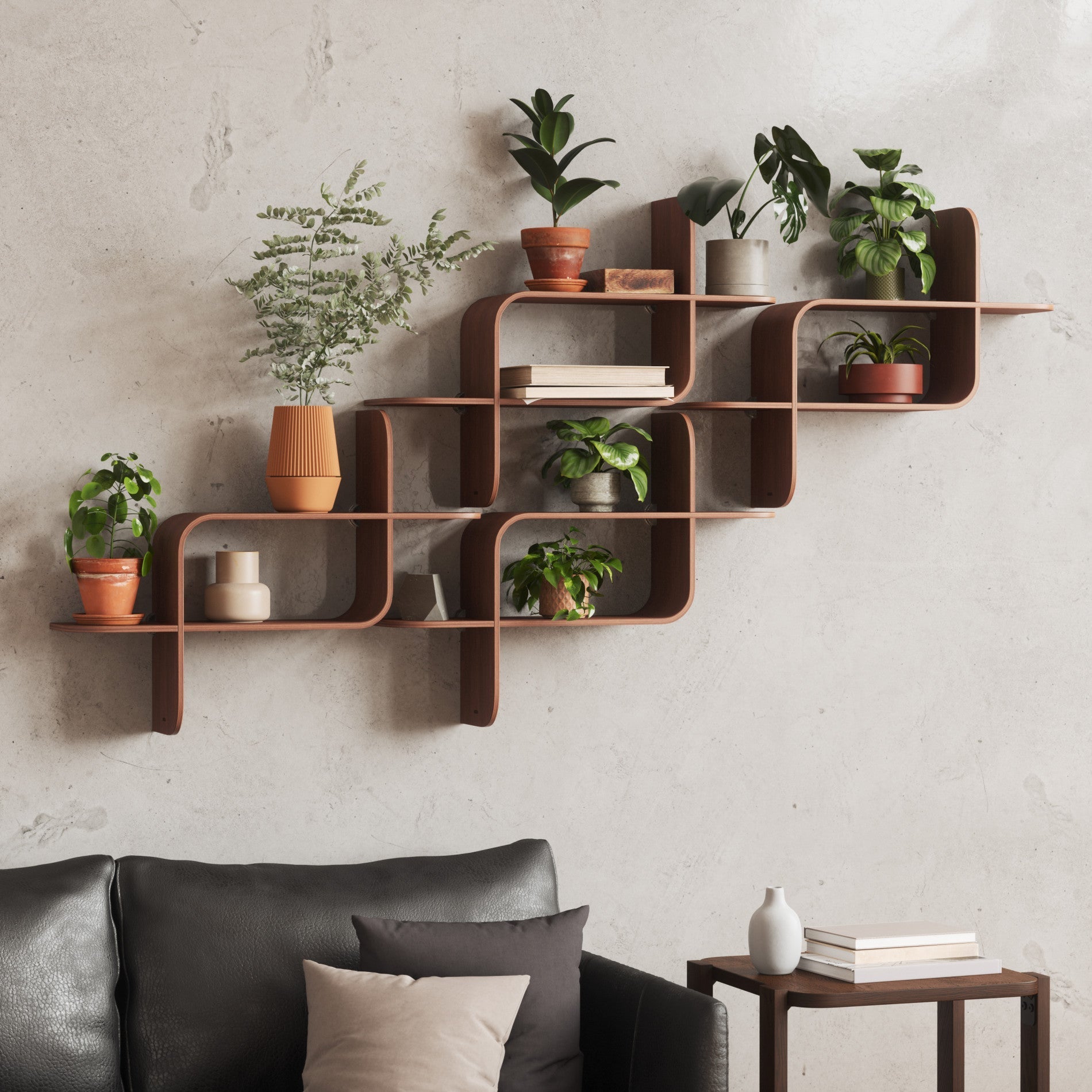 Natural Bent-Wood Wall Shelf
