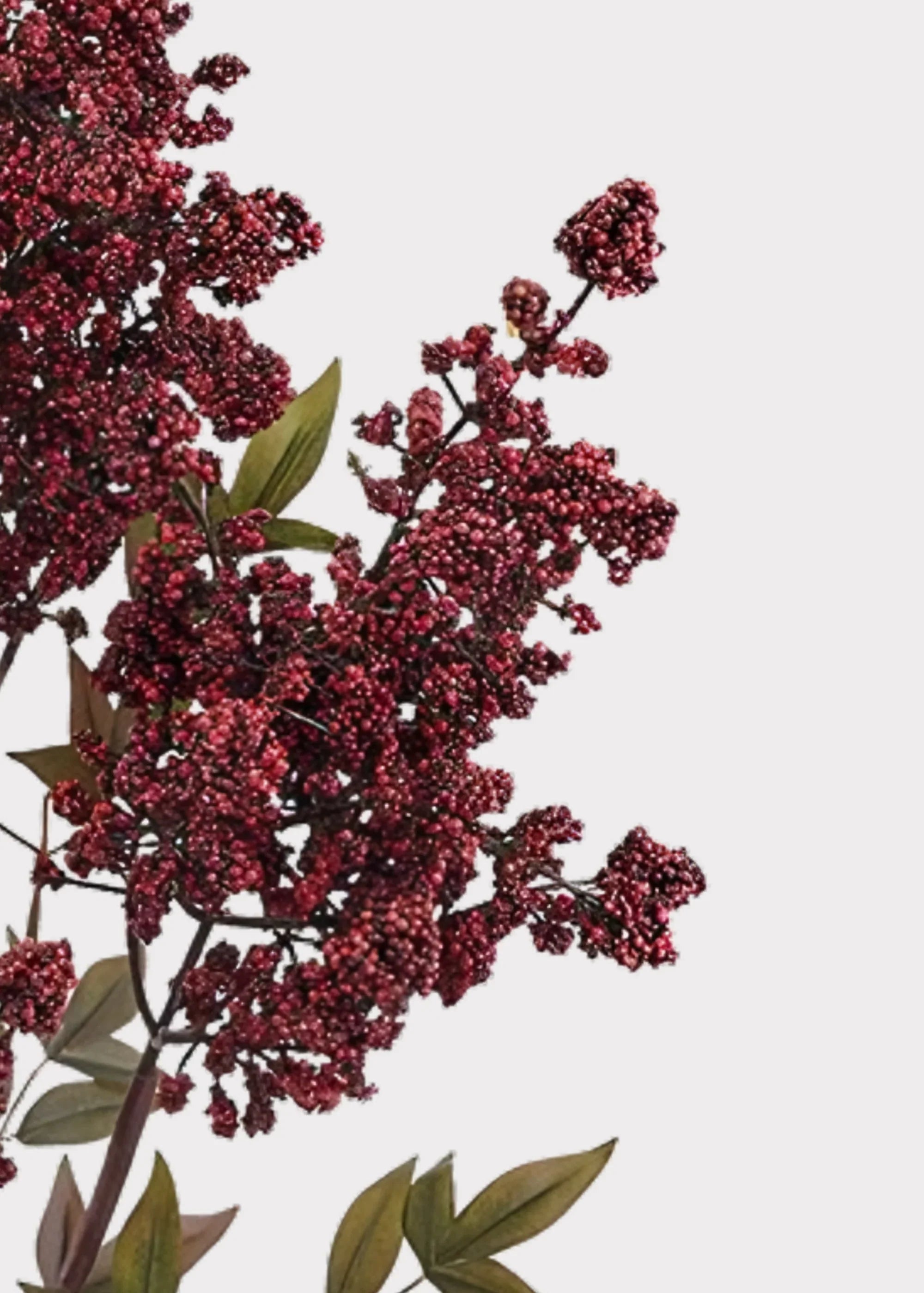 Burgundy Flower Winter Berry Stem - 47"