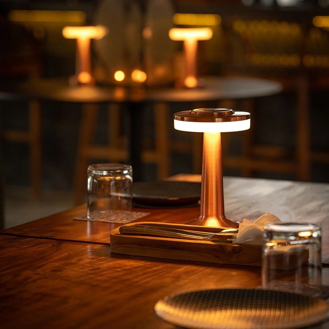 Noctis Modern Cordless Lamp | Adjustable LED Accent Light