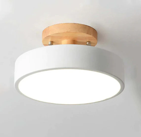 Oakline Modern Ceiling Lamp