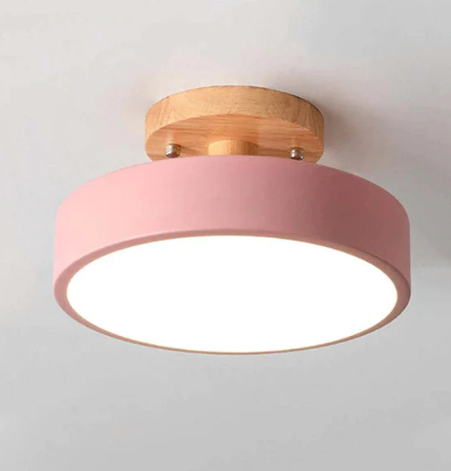 Oakline Modern Ceiling Lamp
