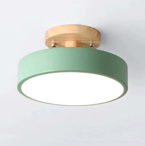 Oakline Modern Ceiling Lamp