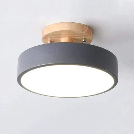 Oakline Modern Ceiling Lamp