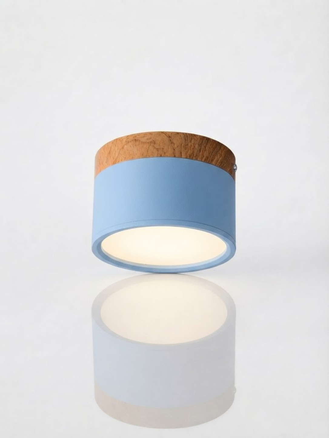 Orlo Surface Mount Ceiling Lamp