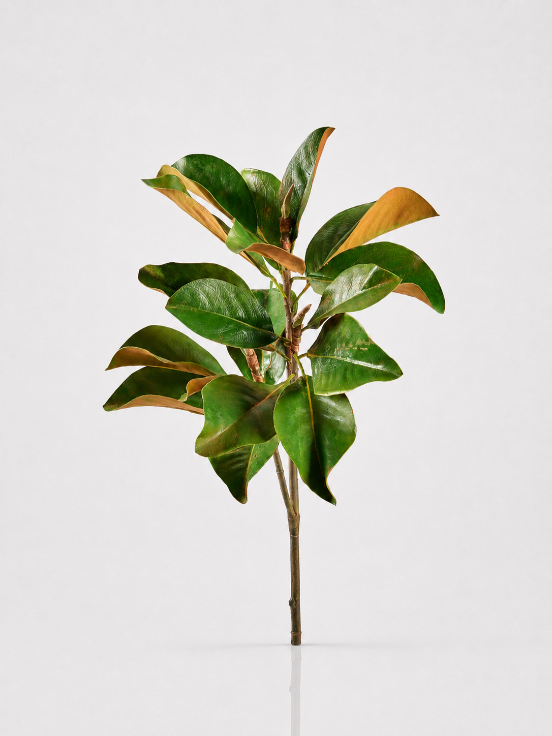 Artificial Flower Leaf Realistic Magnolia Branch with Green Leaves 41"