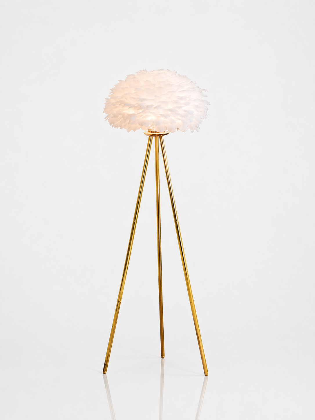 Orlena Feather Floor Lamp