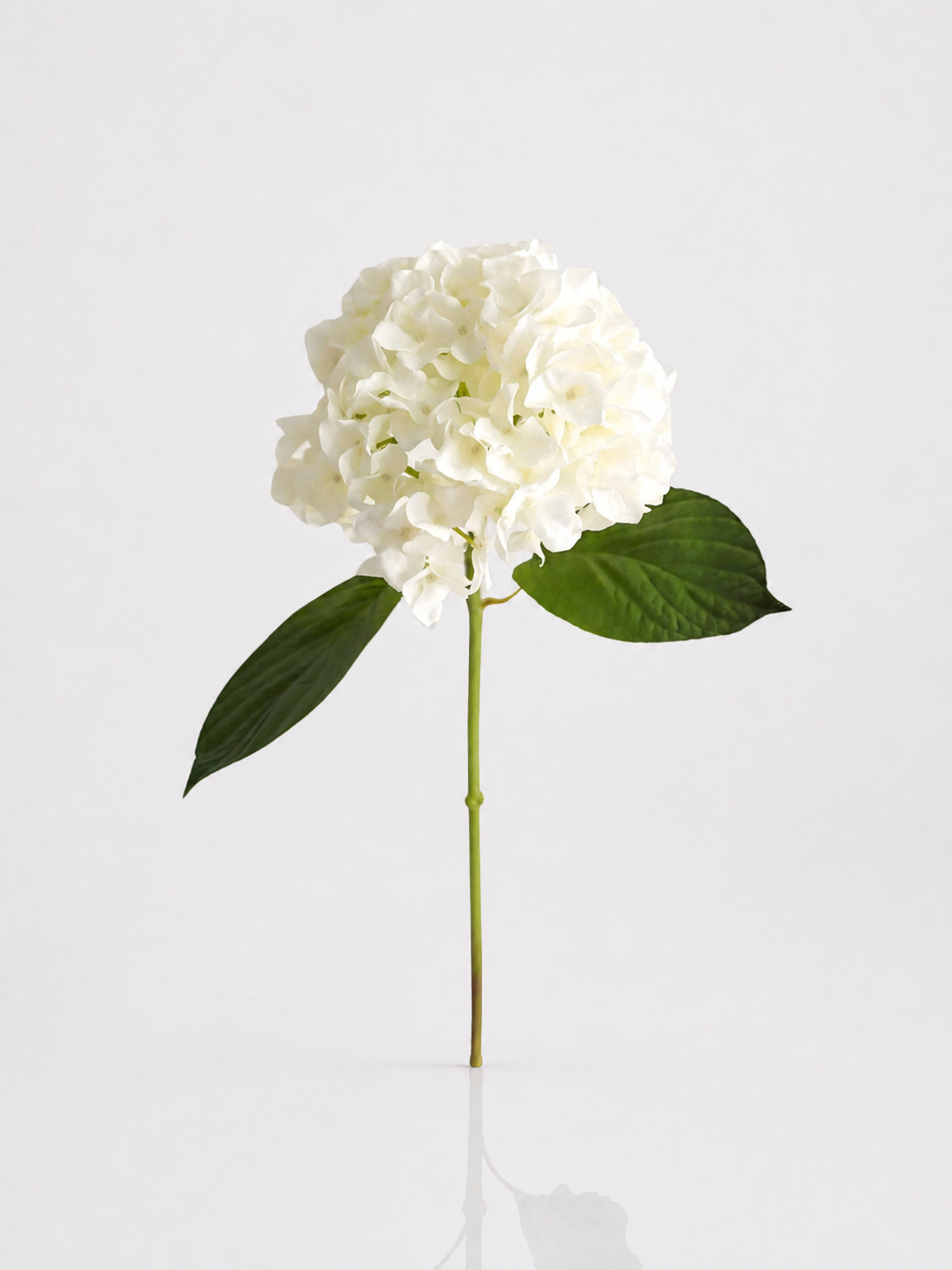 Artificial Flower Real Touch Hydrangea Stem Talc White 18"