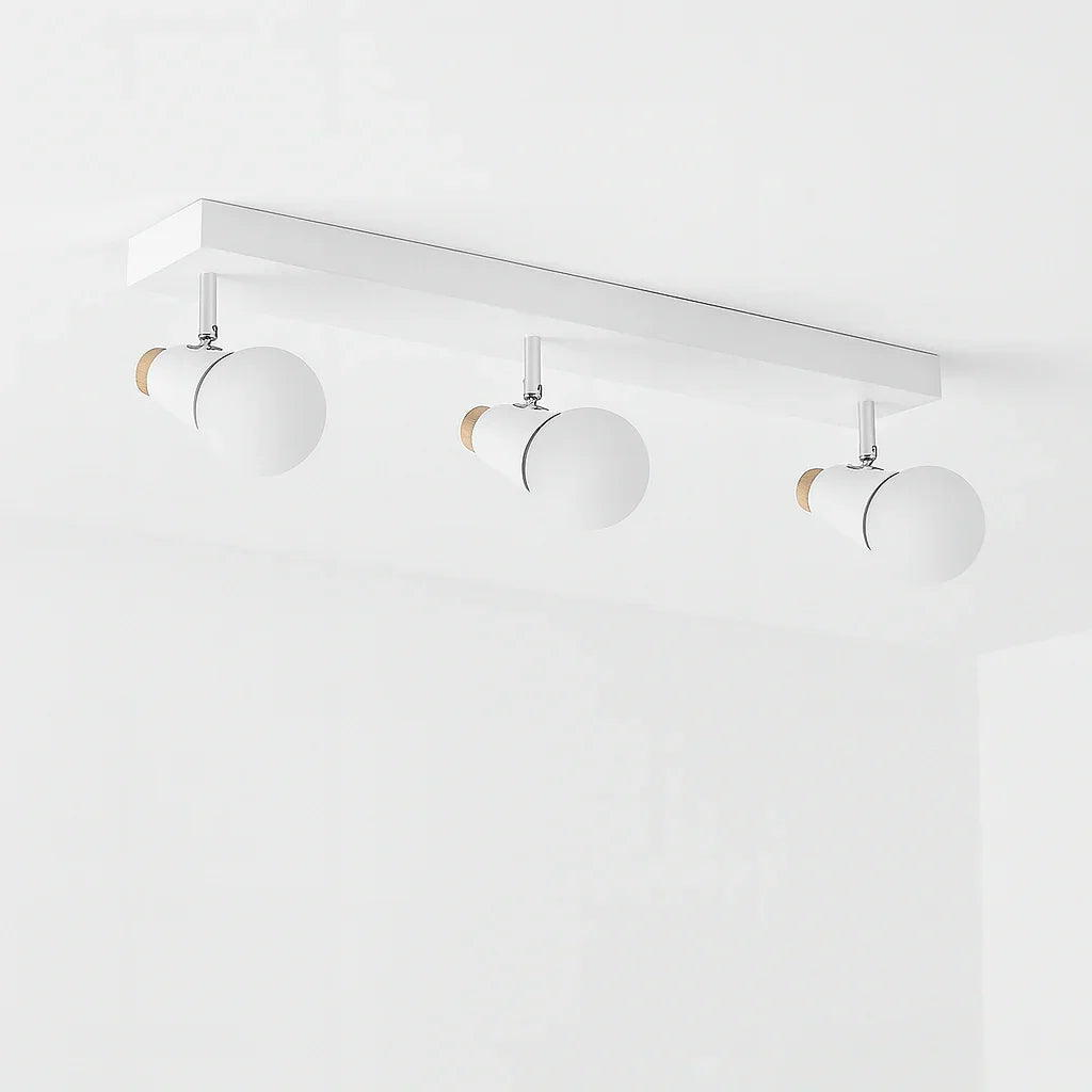 Decorative LED Ceiling Lamp