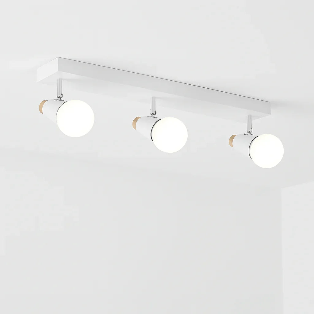 Decorative LED Ceiling Lamp