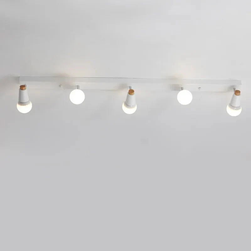 Decorative LED Ceiling Lamp