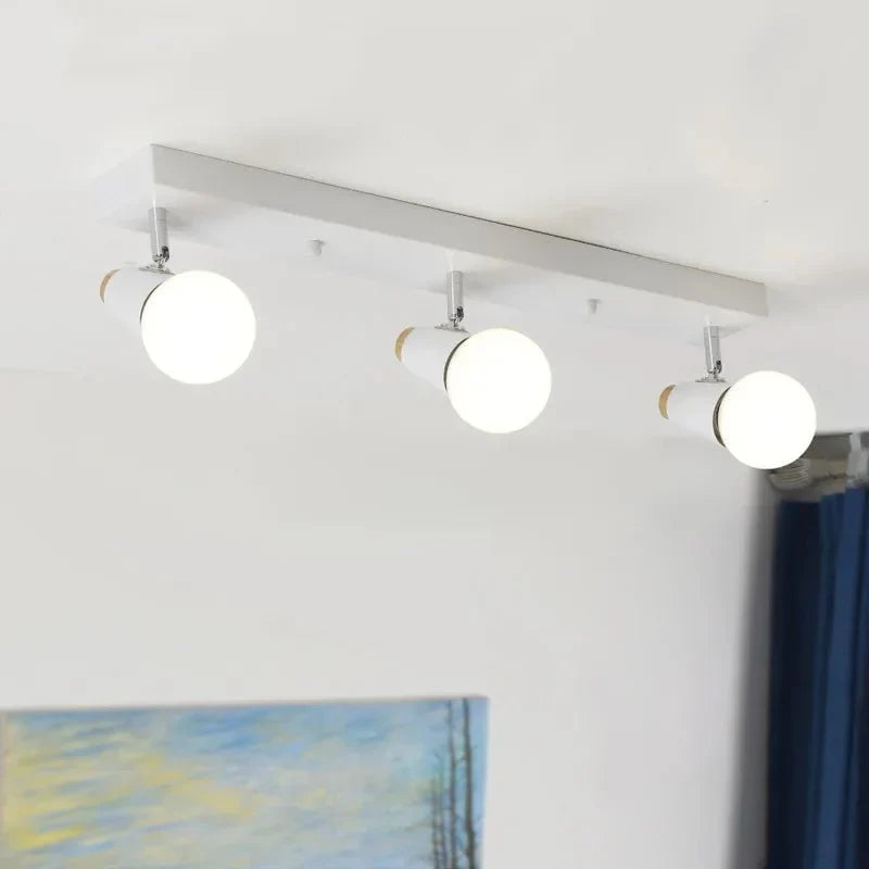 Decorative LED Ceiling Lamp