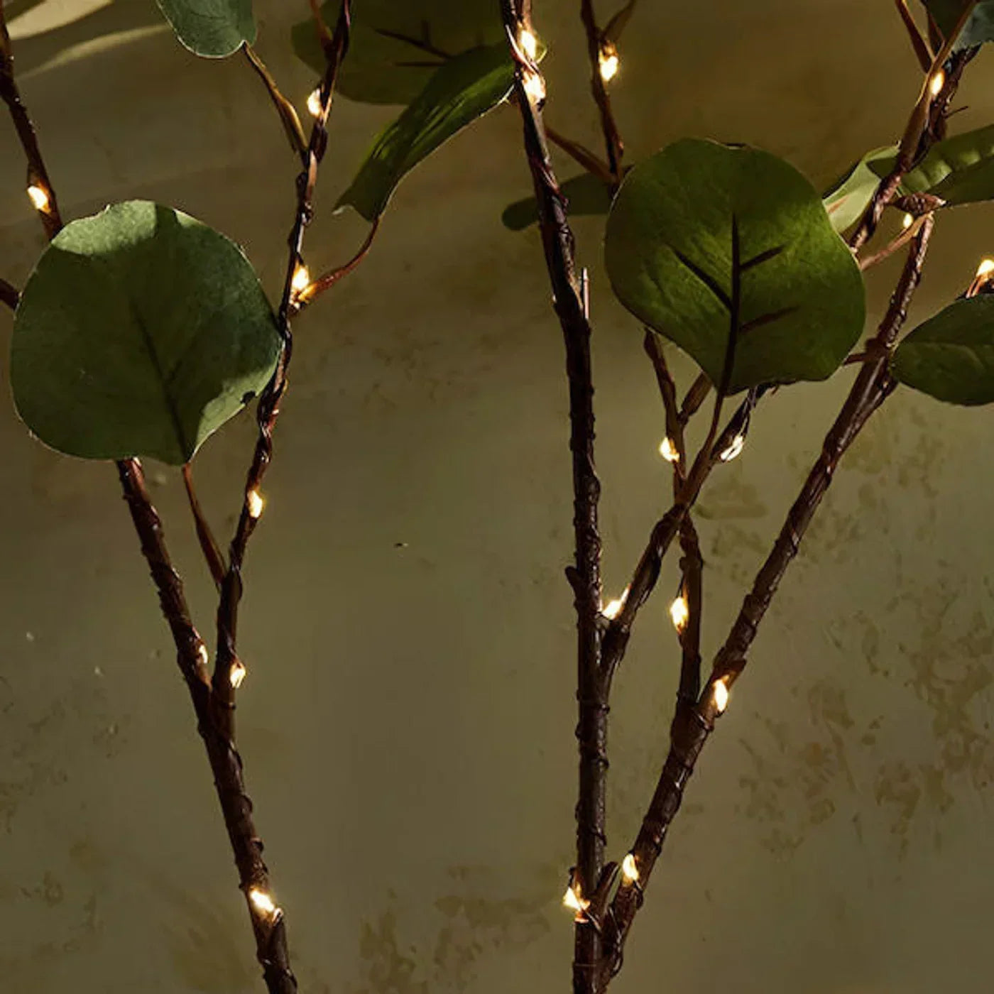 Lumen Branch Light