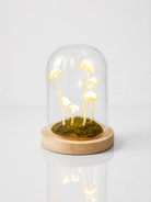 Mushroom Lamp Kit DIY Glass & Wood LED Light