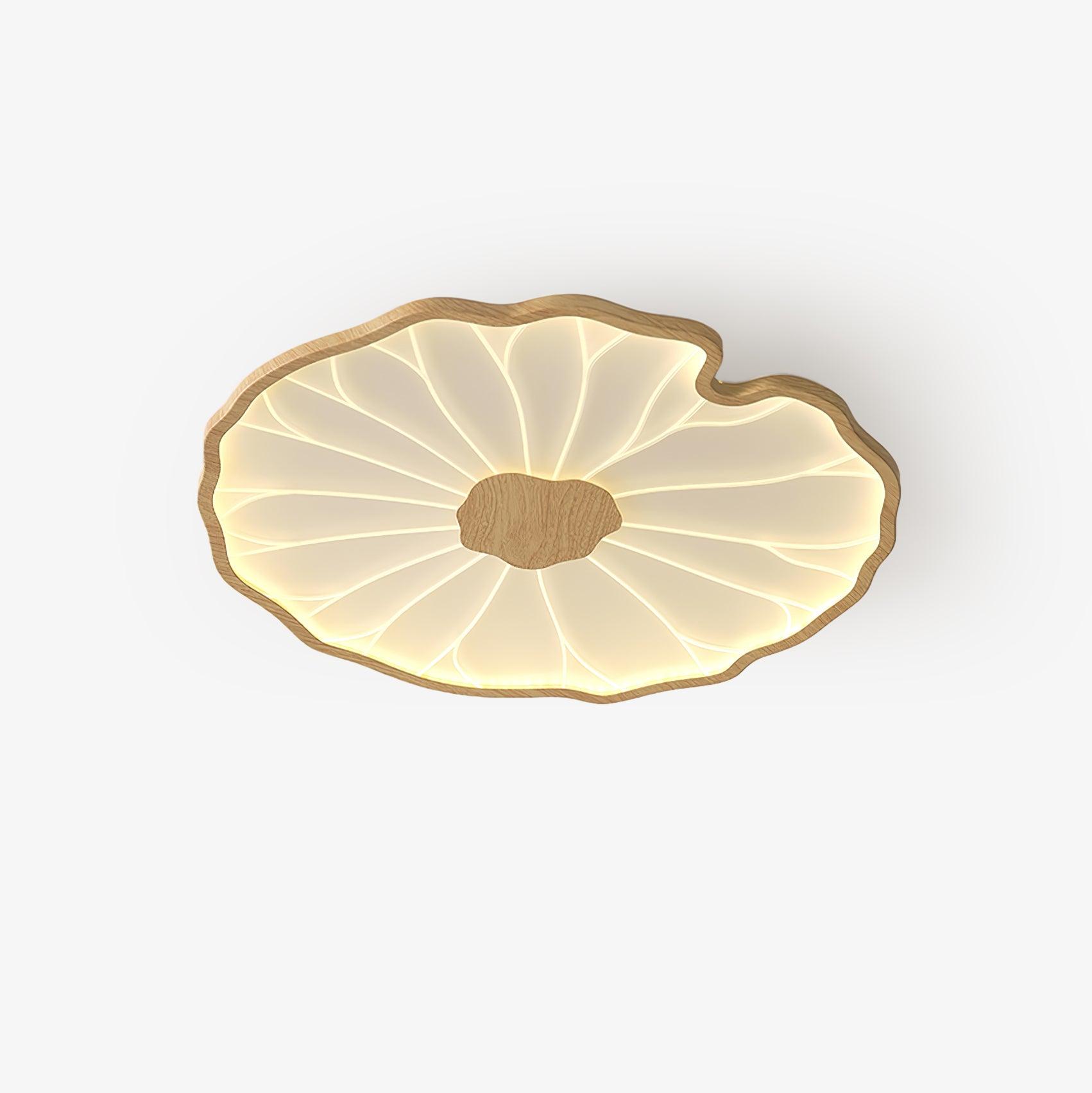 Luna Leaf Ceiling Light | Acrylic Flush Mount Design, Ambient LED Lighting 1